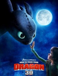 How to train your dragon poster work